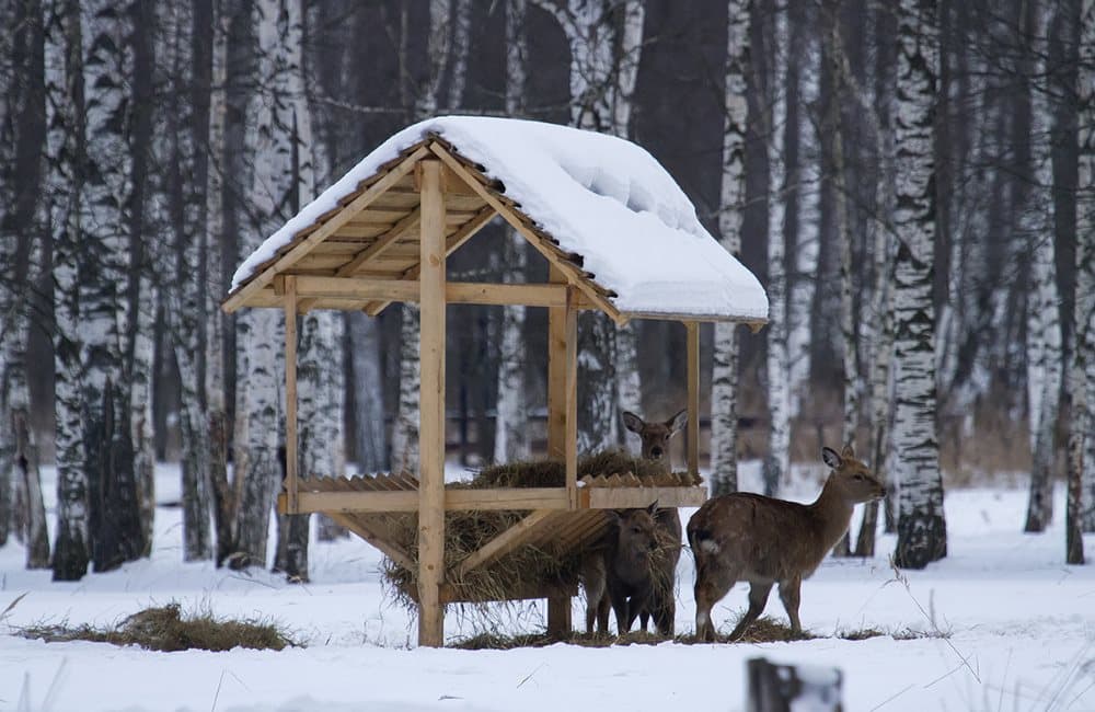 Winter meeting in the "Beremytske" Nature Park