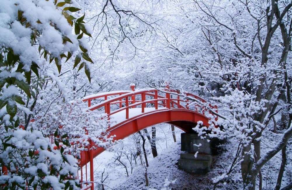 Как фотографировать природу зимой