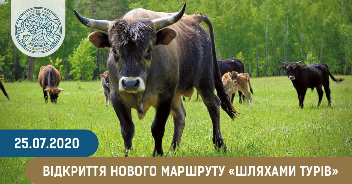 Відкриття маршруту "Шляхами турів"